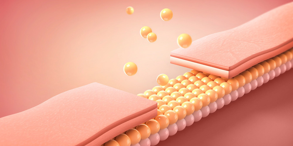 질쎄라 시술이미지